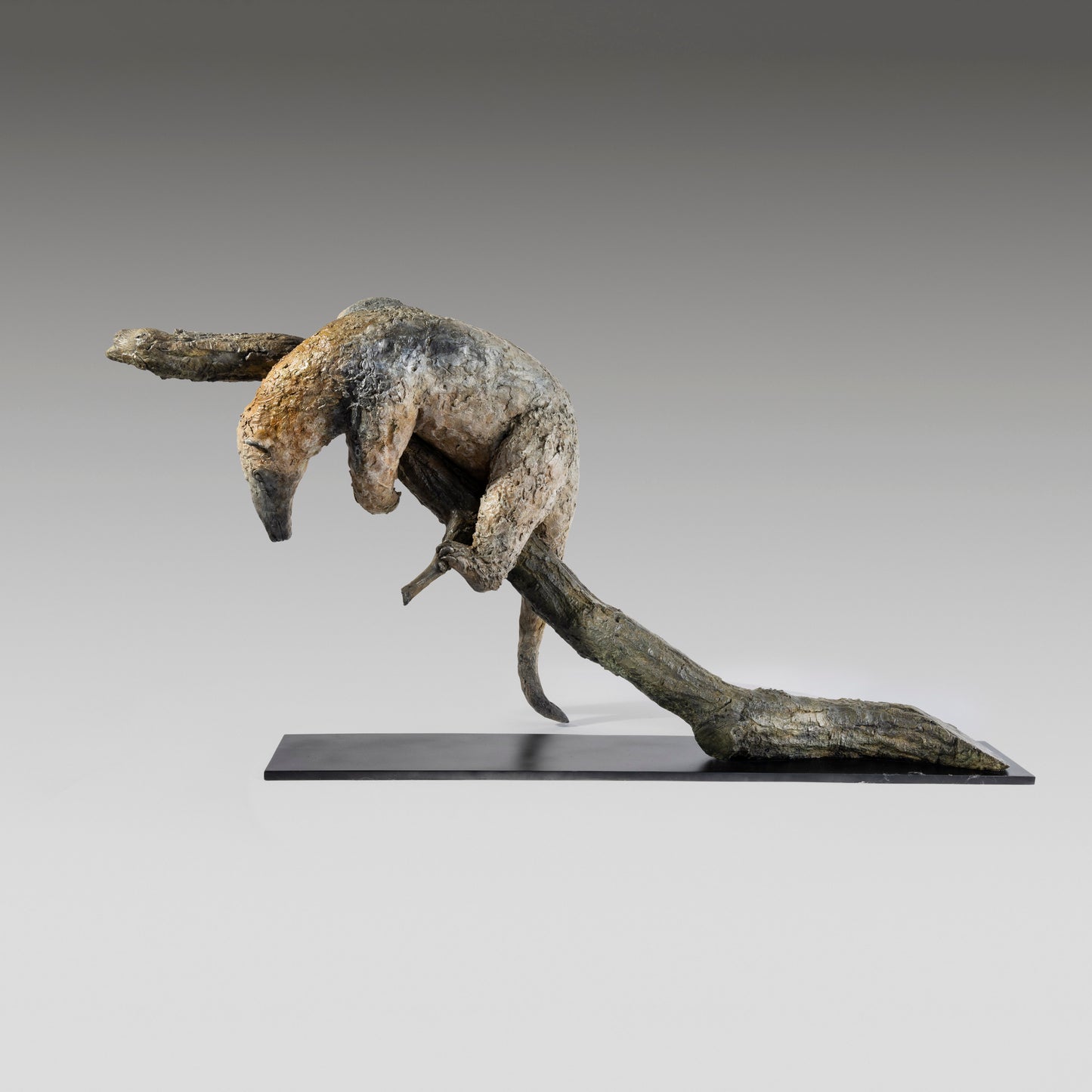 Lesser Anteater of Costa Rica