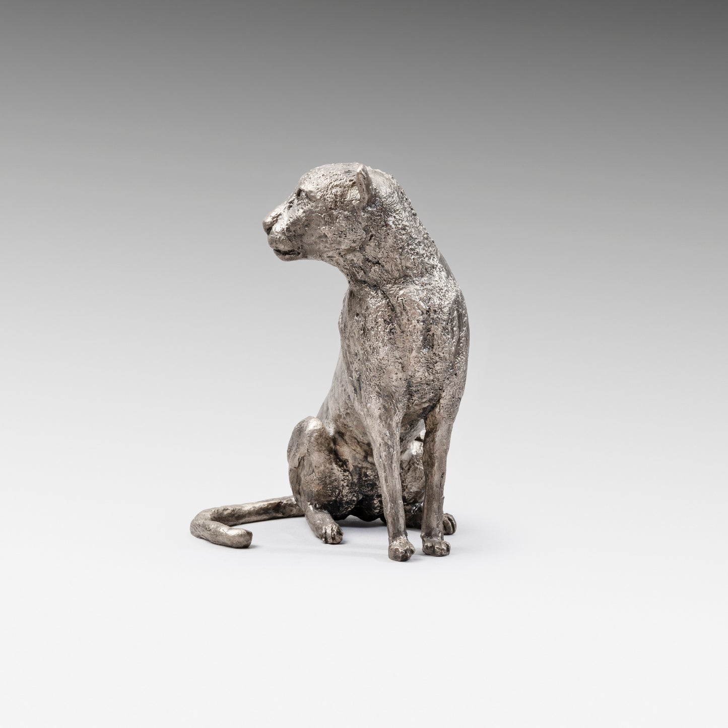 Solitary Cheetah (solid silver)