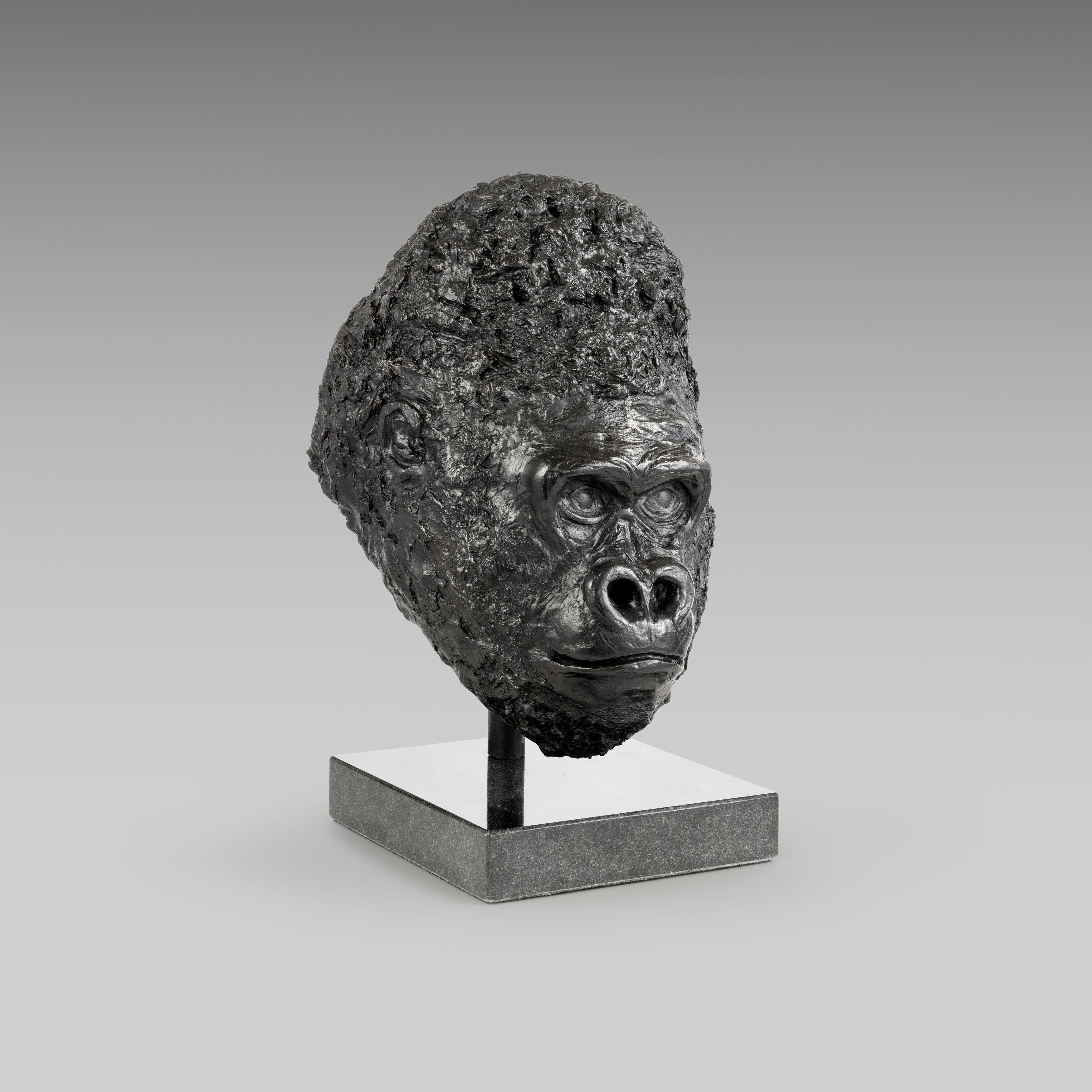 Gorilla Portrait – Zac Goldsmith Art For Nature