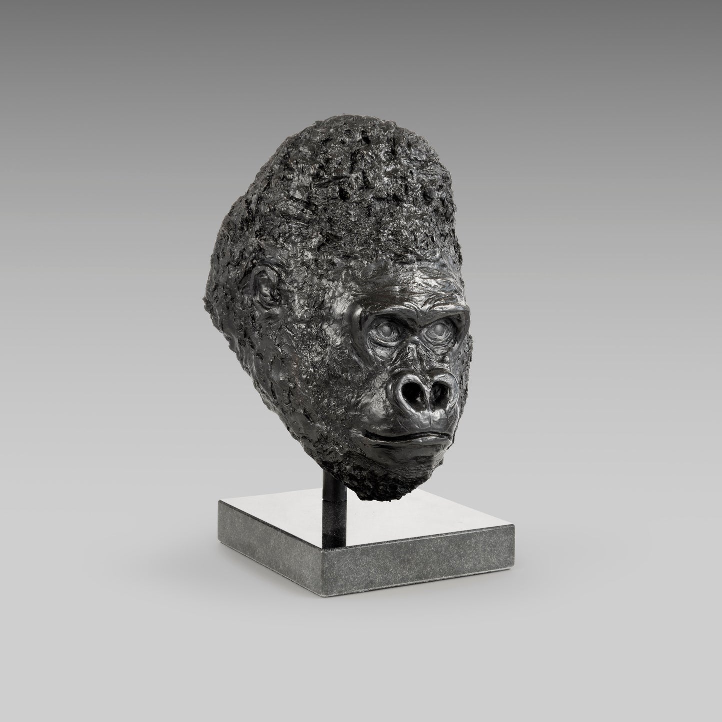 Gorilla Portrait