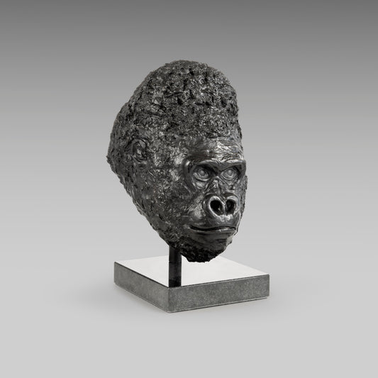 Gorilla Portrait