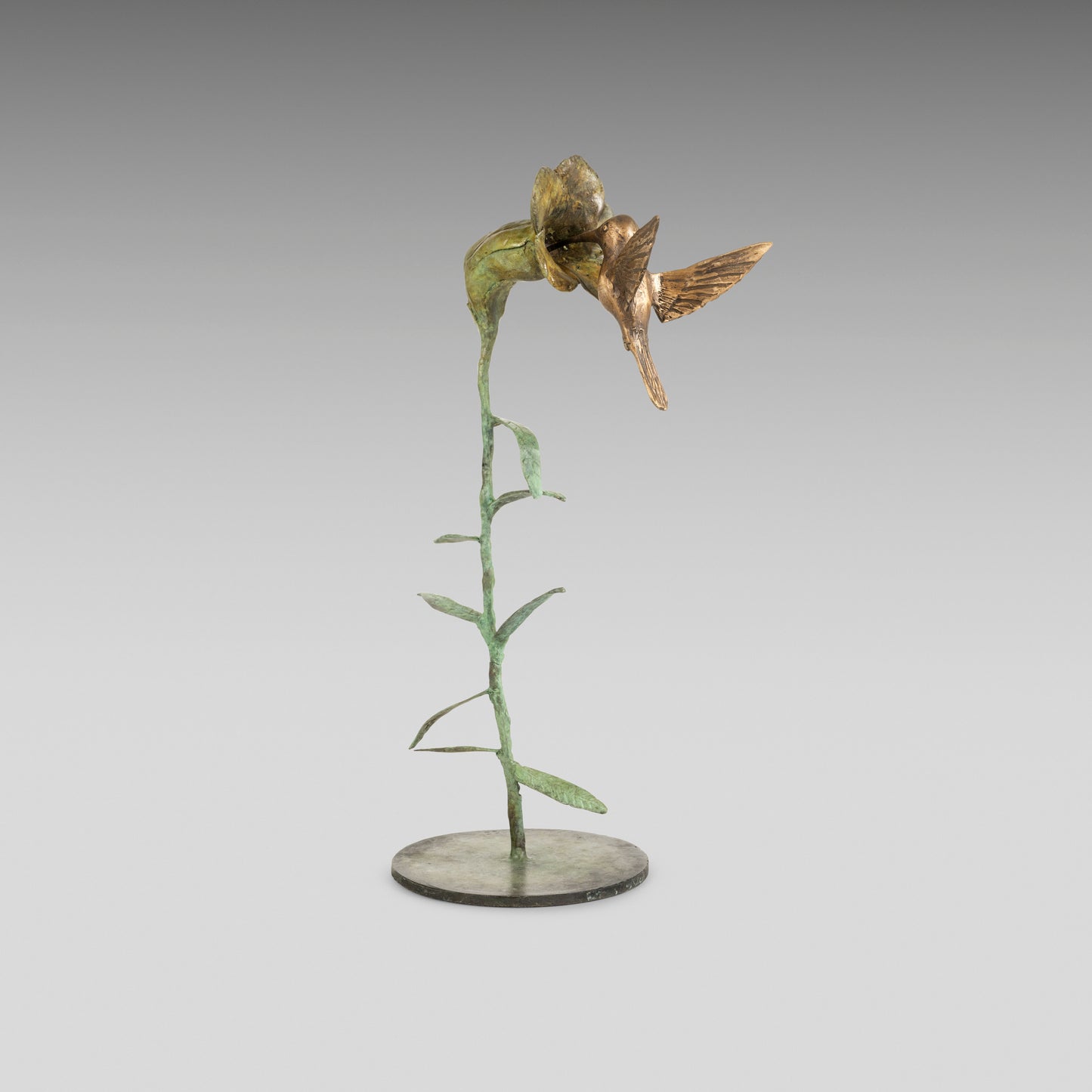 Hummingbird Feeding