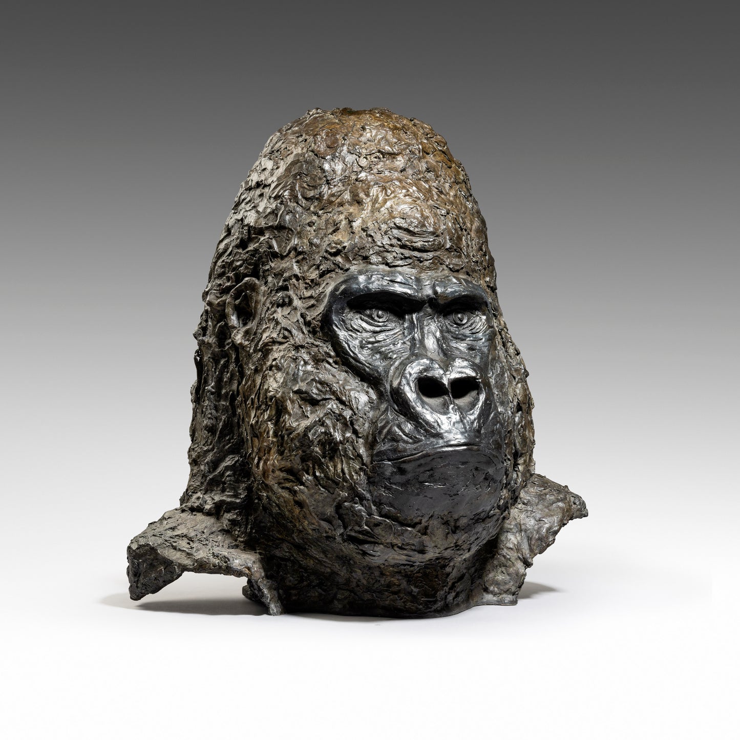 Silverback Bust