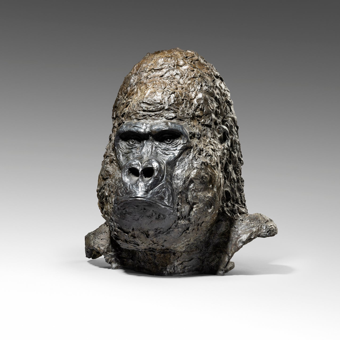 Silverback Bust