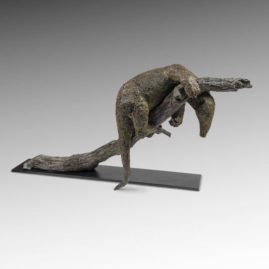 Lesser Anteater of Costa Rica 2